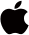 google icon